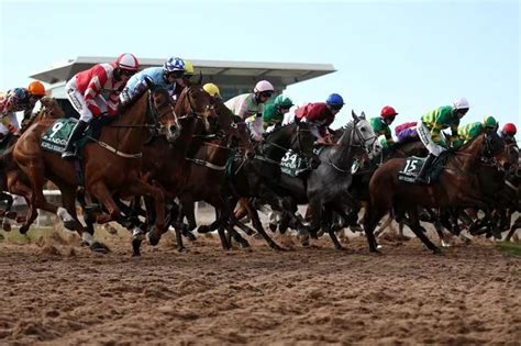 burrows saint grand national odds|Supercomputer predicts Grand National 2022 result with 20/1 winner.